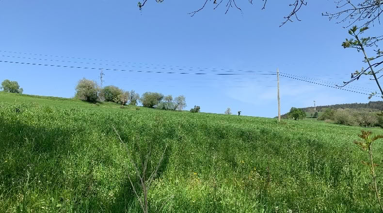 Cantabria - San Mamés de Meruelo - 4770m2