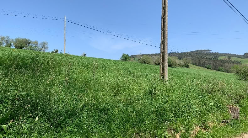 Cantabria - San Mamés de Meruelo - 4770m2