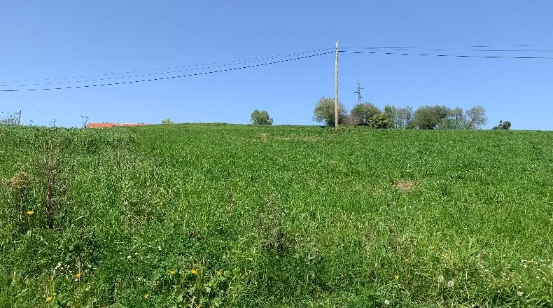 Cantabria - San Mamés de Meruelo - 4770m2