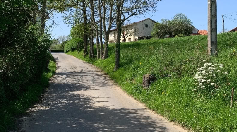 Cantabria - San Mamés de Meruelo - 4770m2
