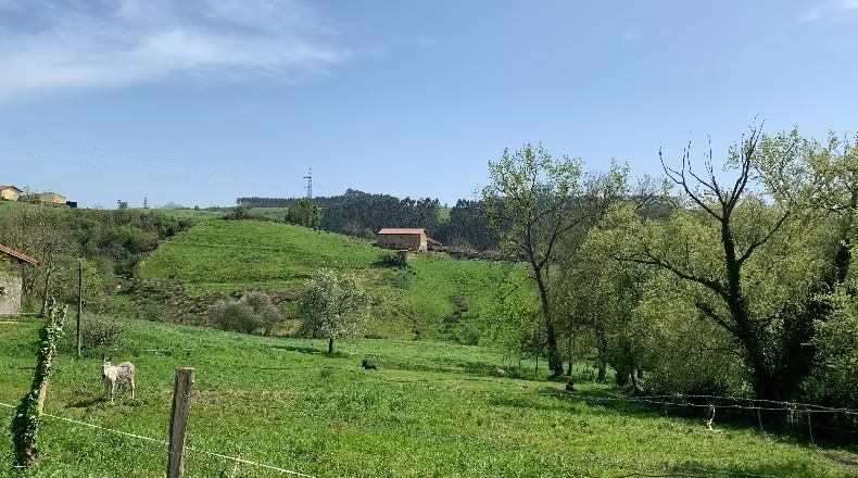 Cantabria - San Mamés de Meruelo - 4770m2