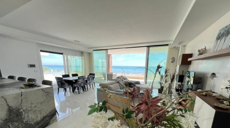 Alicante - Torrevieja - 350m2