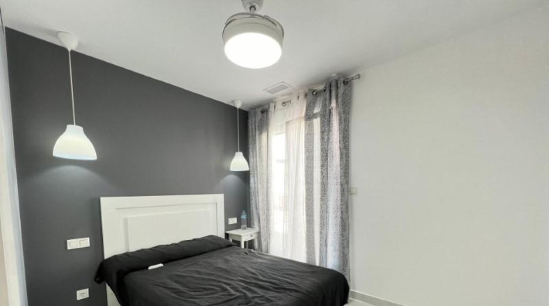Alicante - Torrevieja - 350m2