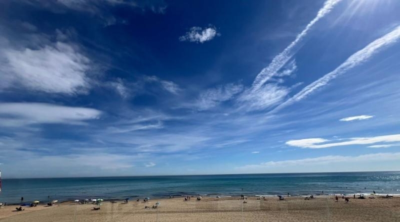Alicante - Torrevieja - 350m2