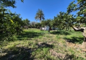 Terreno no urbanizable en venta en la RM-605. 30390, Cartagena, ref: TR401983 foto