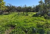 Terreno no urbanizable en venta en la RM-605. 30390, Cartagena, ref: TR401983 foto