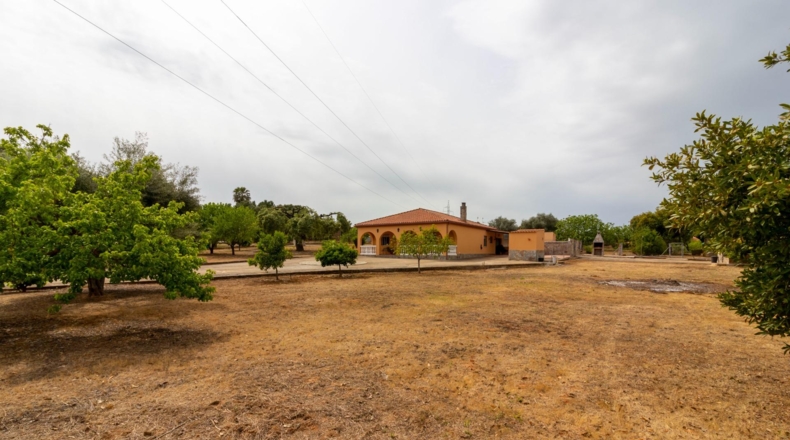 Badajoz - Badajoz - 5000m2
