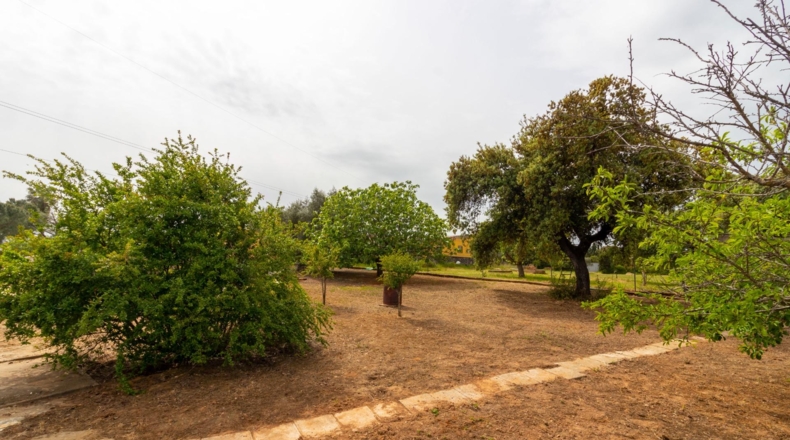 Badajoz - Badajoz - 5000m2