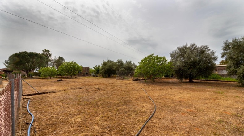 Badajoz - Badajoz - 5000m2
