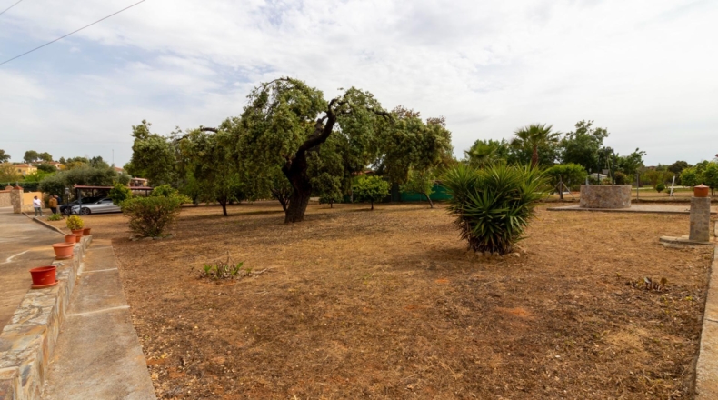 Badajoz - Badajoz - 5000m2