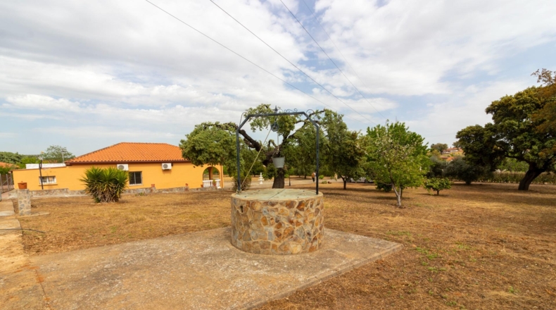 Badajoz - Badajoz - 5000m2