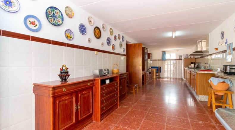 Badajoz - Badajoz - 5000m2