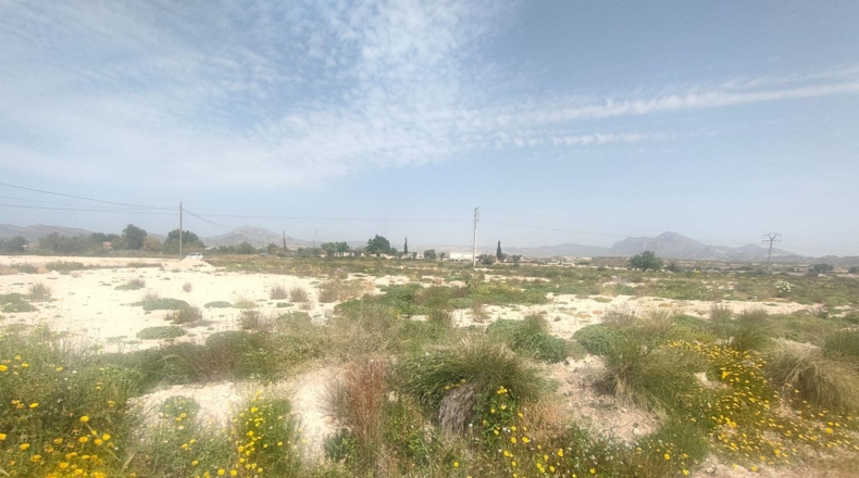 Alicante - Mutxamel - 23641m2