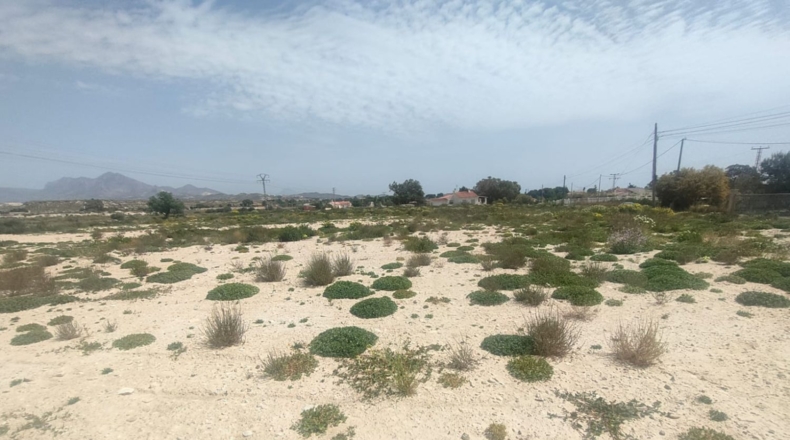 Alicante - Mutxamel - 23641m2