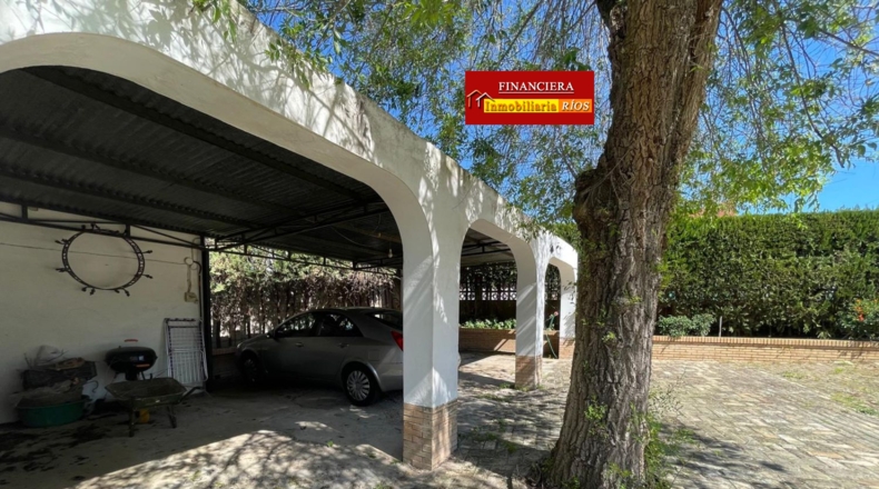 Sevilla - Alcalá de Guadaíra - 1225m2