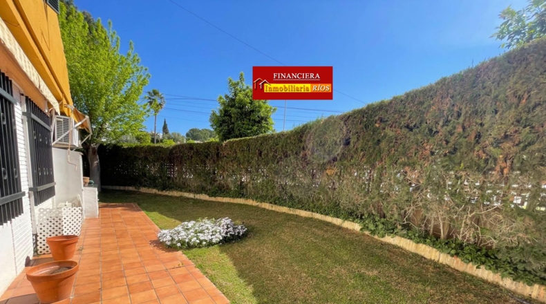 Sevilla - Alcalá de Guadaíra - 1225m2