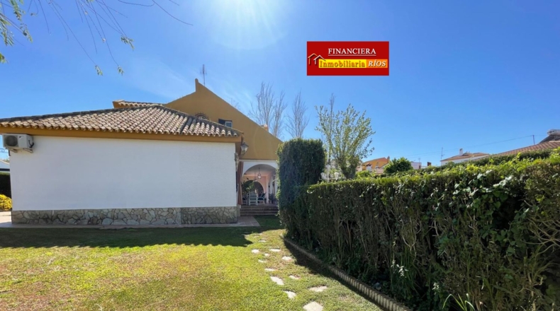 Sevilla - Alcalá de Guadaíra - 1225m2