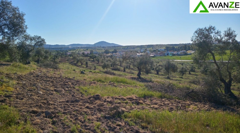 Badajoz - Mérida - 46577m2