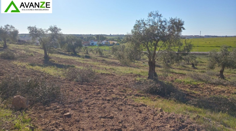 Badajoz - Mérida - 46577m2