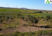 Terreny no urbanitzable en venda a Mèrida ref.: TR402031 foto