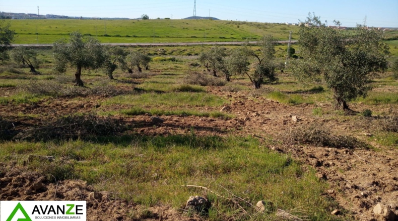Badajoz - Mérida - 46577m2