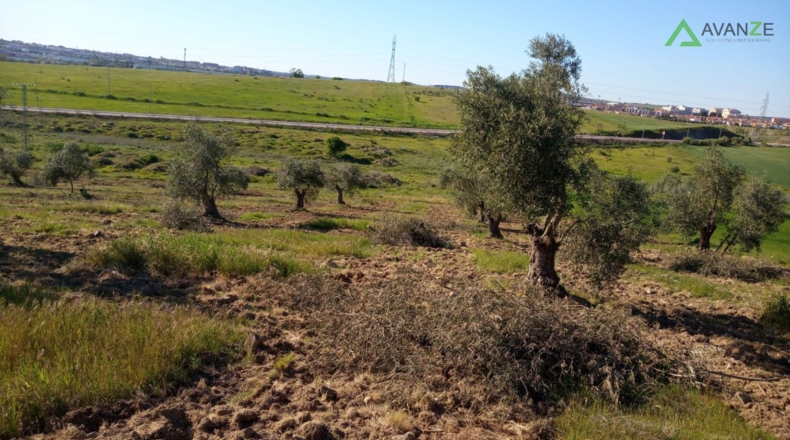 Badajoz - Mérida - 46577m2