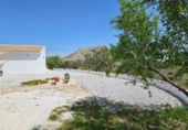 Casa de camp amb terreny en venda a Vélez-Blanco ref.: TR402040 foto