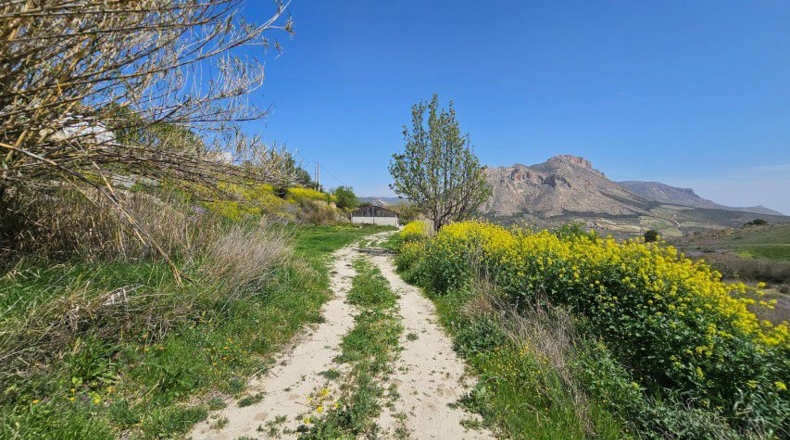 Almería - Vélez-Blanco - 29326m2