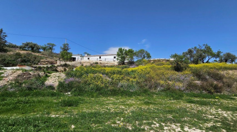 Almería - Vélez-Blanco - 29326m2