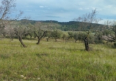 Terreno no urbanizable en venta en Tírig ref: TR402041 foto