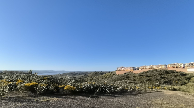 Huelva - Ayamonte - 1105m2