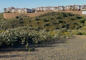 Suelo urbano en venta en Ayamonte ref: TR402055 foto