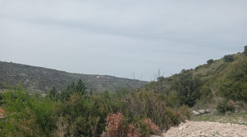 Comunidad de Madrid - Villar del Olmo - 390m2