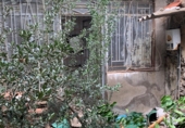 Casa de pueblo en venta en la España, Orihuela, ref: TR402064 foto