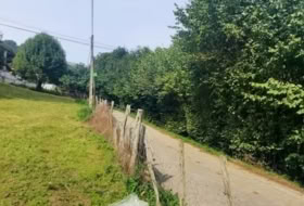 Foto 11
