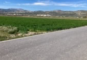 Non-developable land for sale on Camino de Valderrubio a Zujaira, Pinos Puente, ref: TR112100 photo