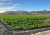 Non-developable land for sale on Camino de Valderrubio a Zujaira, Pinos Puente, ref: TR112100 photo