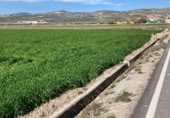 Non-developable land for sale on Camino de Valderrubio a Zujaira, Pinos Puente, ref: TR112100 photo