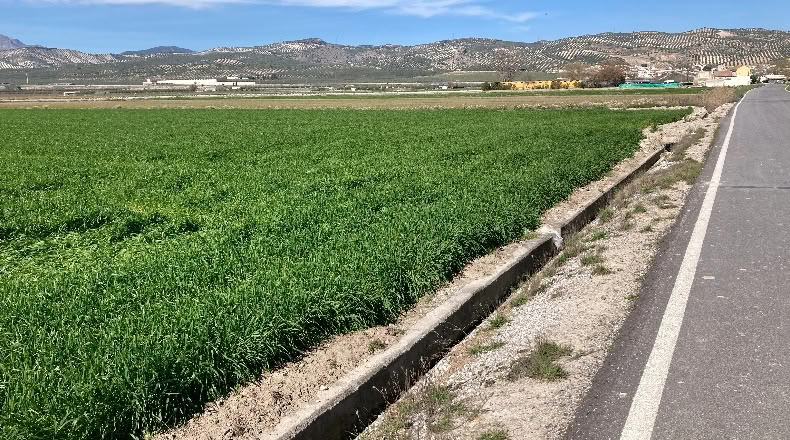 Granada - Pinos Puente - 23400m2