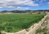 Non-developable land for sale on Camino de Valderrubio a Zujaira, Pinos Puente, ref: TR112100 photo