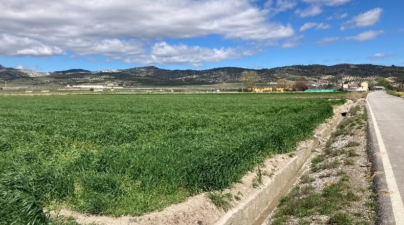 Granada - Pinos Puente - 23400m2