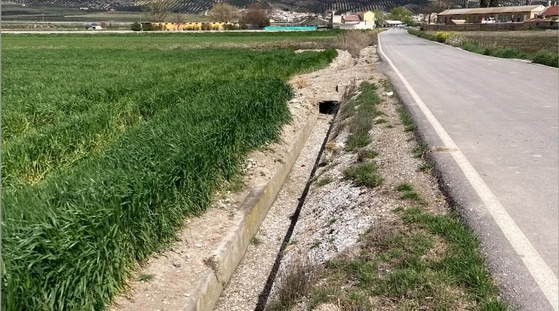 Granada - Pinos Puente - 23400m2
