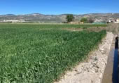 Non-developable land for sale on Camino de Valderrubio a Zujaira, Pinos Puente, ref: TR112100 photo