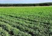 Non-developable land for sale on Camino de Valderrubio a Zujaira, Pinos Puente, ref: TR112100 photo