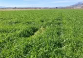 Non-developable land for sale on Camino de Valderrubio a Zujaira, Pinos Puente, ref: TR112100 photo