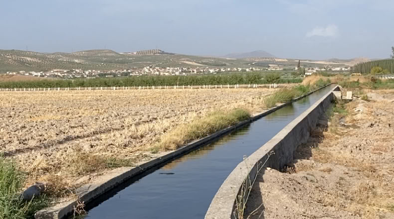 Granada - Pinos Puente - 23400m2