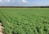 Non-developable land for sale on Camino de Valderrubio a Zujaira, Pinos Puente, ref: TR112100 photo