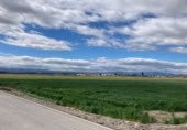 Non-developable land for sale on Camino de Valderrubio a Zujaira, Pinos Puente, ref: TR112100 photo