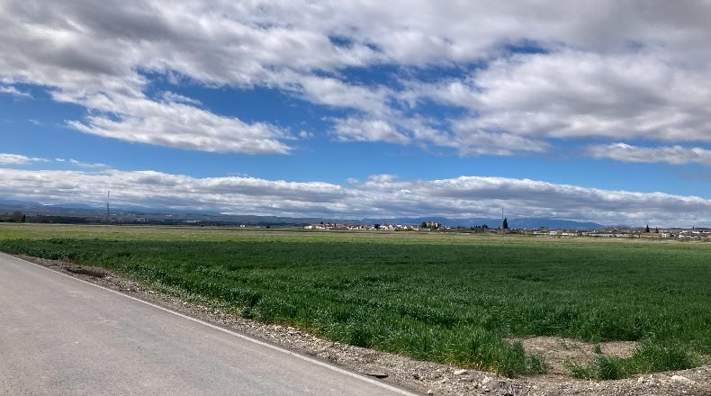 Granada - Pinos Puente - 23400m2