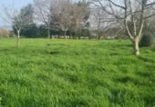 Parcela urbanizable en venta en la 748, Ferrol, ref: TR402068 foto